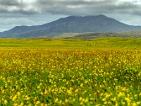 Isle of South Uist